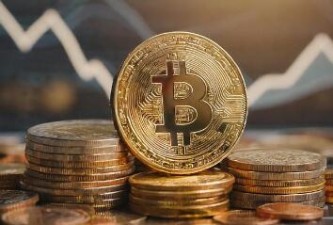 如何选择适合自己的虚拟货币投资组合：分散风险与增长潜力的考虑_货币分散发行的弊端_如何选择适合自己的虚拟货币投资组合：分散风险与增长潜力的考虑