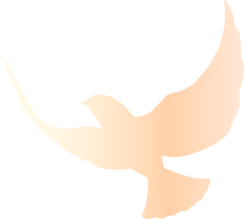 分析数字货币在品牌营销中的潜力：促进用户参与与忠诚度_分析数字货币在品牌营销中的潜力：促进用户参与与忠诚度_分析数字货币在品牌营销中的潜力：促进用户参与与忠诚度