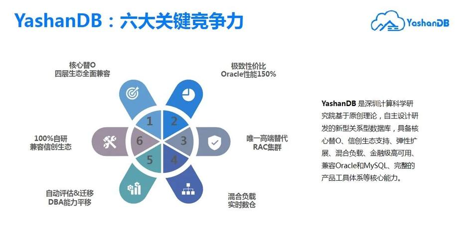 tp最新版功能卓越性能出色，用户体验优化吸引力大增