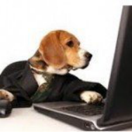 钱包软件安全吗_tp钱包app官方下载的安全提醒功能，保护用户信息不被泄漏_钱包可靠吗